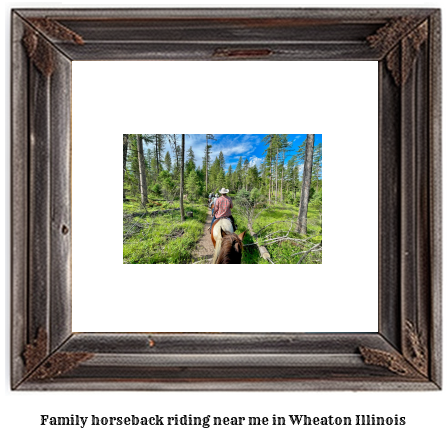 family horseback riding near me in Wheaton, Illinois